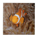 Suche nach seeanemone fliesen Clown