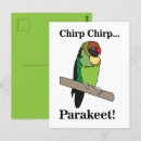 Recherche de perruches cartes postales Bougie
