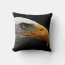 Recherche de aigle noir coussins Rapace