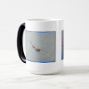 Recherche de rats tasses Toute personne