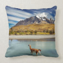 Recherche de paine coussins Beau