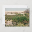 Recherche de roseau cartes postales Zone humide