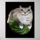 Recherche de watermelon posters Liberté