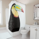 Suche nach toucan Vogel