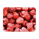 Suche nach himbeeren magnete Obst
