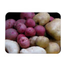 Recherche de terre s magnets Légume