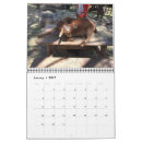 Suche nach esel andere kalender Schafe