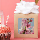 Recherche de sakura autocollants Fleur de sakura
