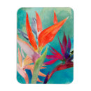 Recherche de paradis tropical magnets Floral