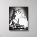 Suche nach witz leinwandbilder Katze