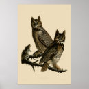 Suche nach john james audubon poster Vintag
