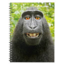 Suche nach affen notizbuch Lustige tiere