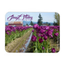 Recherche de tulipes pourpres magnets Pour tous