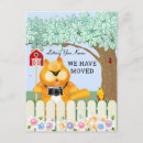 Suche nach zuhause garten postkarten Katze