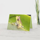 Suche nach froschkarte Foto