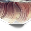 Suche nach geometric poster Blume