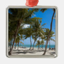 Recherche de key west ornements Océan