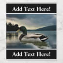 Suche nach enten wein etiketten Stockente