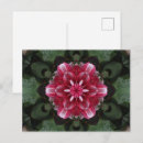 Recherche de mandala floral cartes postales Nature