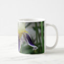 Recherche de iris jaunes tasses Floral