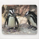 Suche nach afrikanischer vogel mousepads Natur