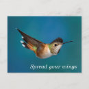 Suche nach hummingbird postkarten Foto
