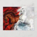 Recherche de cheval mystique cartes postales Magique