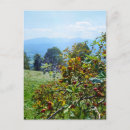 Recherche de tétine cartes postales Pologne