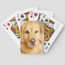 Suche nach golden retriever spielzeug spiele Welpe