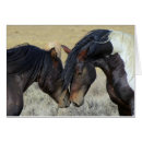 Suche nach equids Hengst