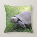 Suche nach wildlife kissen Schildkröte