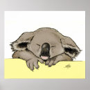 Suche nach koala poster Beutelartig