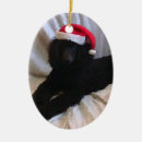 Recherche de caniche standard ornements Vacances