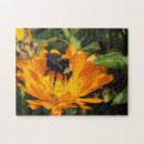 Suche nach hummel puzzle Insekten