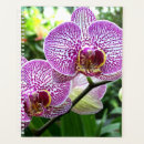 Suche nach orchideen andere planer Blume