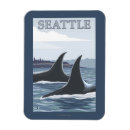 Recherche de orque magnets Baleines