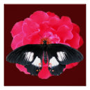 Recherche de peinture papillon fleurs posters Rose