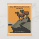 Suche nach bighornschafe postkarten Vintag
