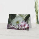 Suche nach weiße orchidee danken Lila