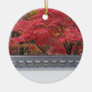 Suche nach asia ornamente Color