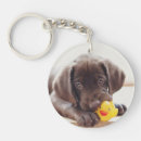 Recherche de labrador chocolat porteclés Mignon