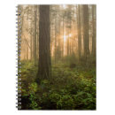 Suche nach wald kleine notizbücher Regen