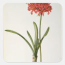 Suche nach 1809 aufkleber Blume