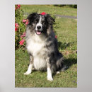Suche nach collie kunst Welpe