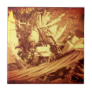 Recherche de indiens carreaux Automne