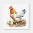 Recherche de poulet coq magnets Mignon