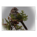 Suche nach liedvogel andere Wild lebende tiere