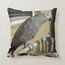 Recherche de congo coussins Gris africain