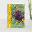 Suche nach labrador geburtstag karten Braun