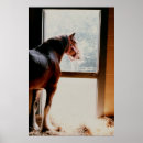 Recherche de geldings Équine